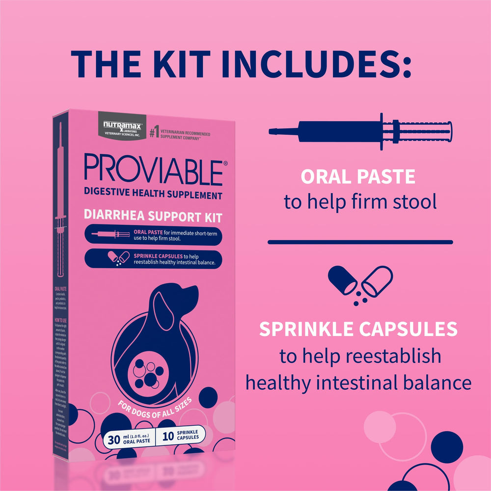 Nutramax Proviable probiotics capsules sprinkled over dog food for balance