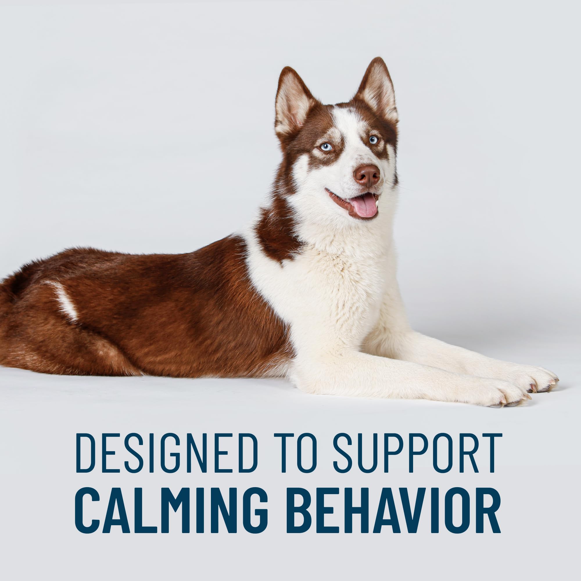 Solliquin soft chews close-up showing tasty calming option
