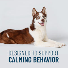 Solliquin soft chews close-up showing tasty calming option