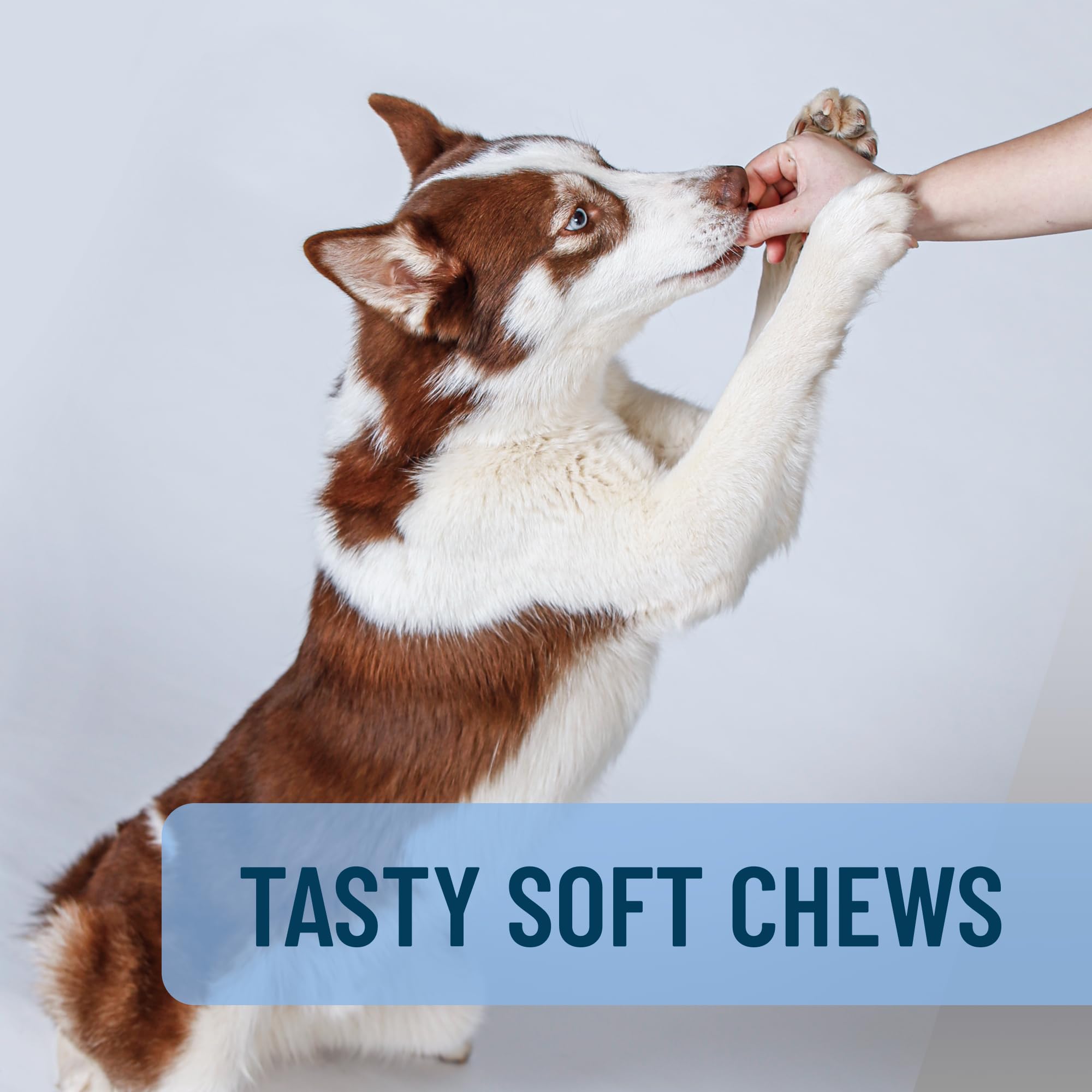 Solliquin soft chews in dish illustrating daily use ritual
