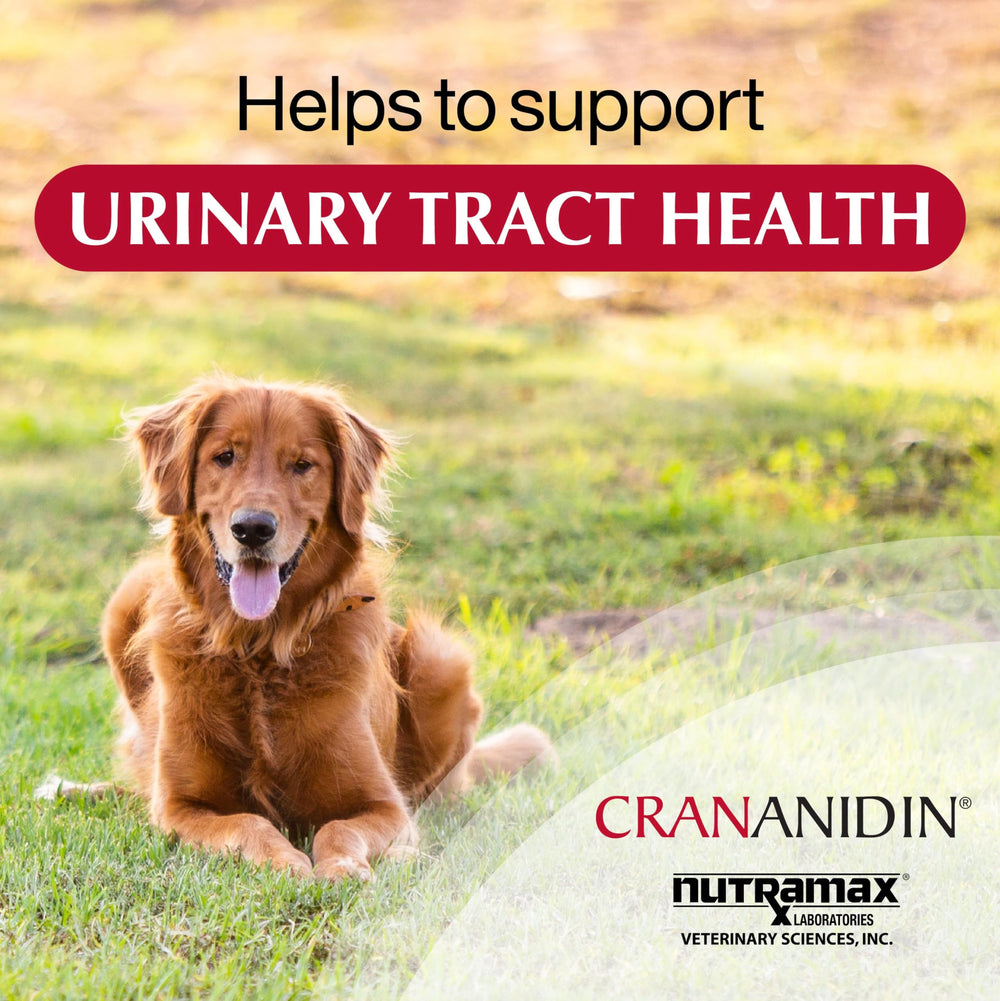 Nutramax Veterinary Sciences branding visible on Crananidin packaging