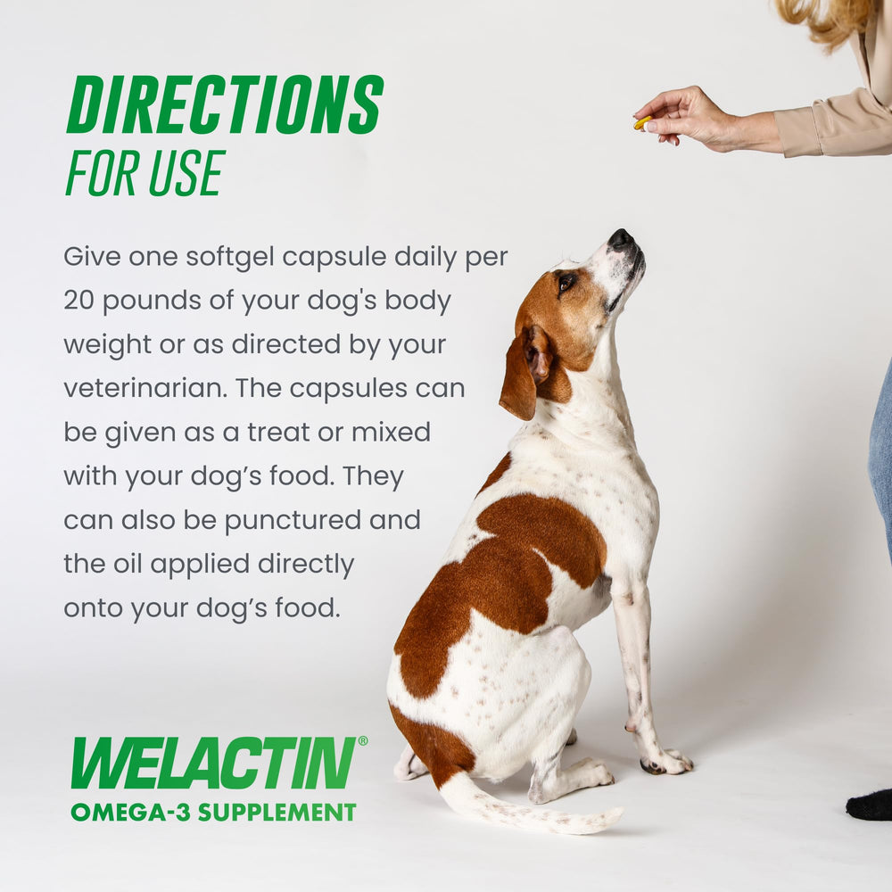 Nutramax Welactin dog nutrition label closeup for quality trust.