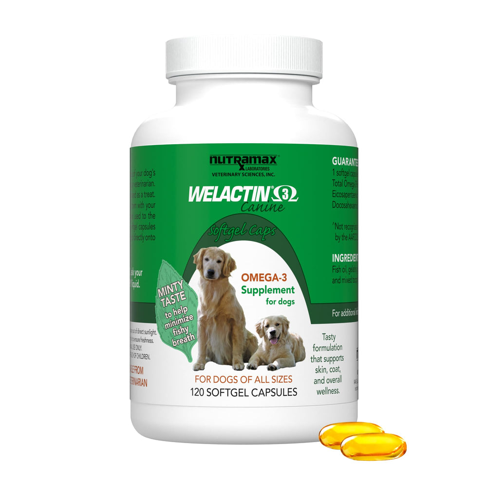 Nutramax Welactin dog softgel capsules in a bottle support healthy skin and coat.