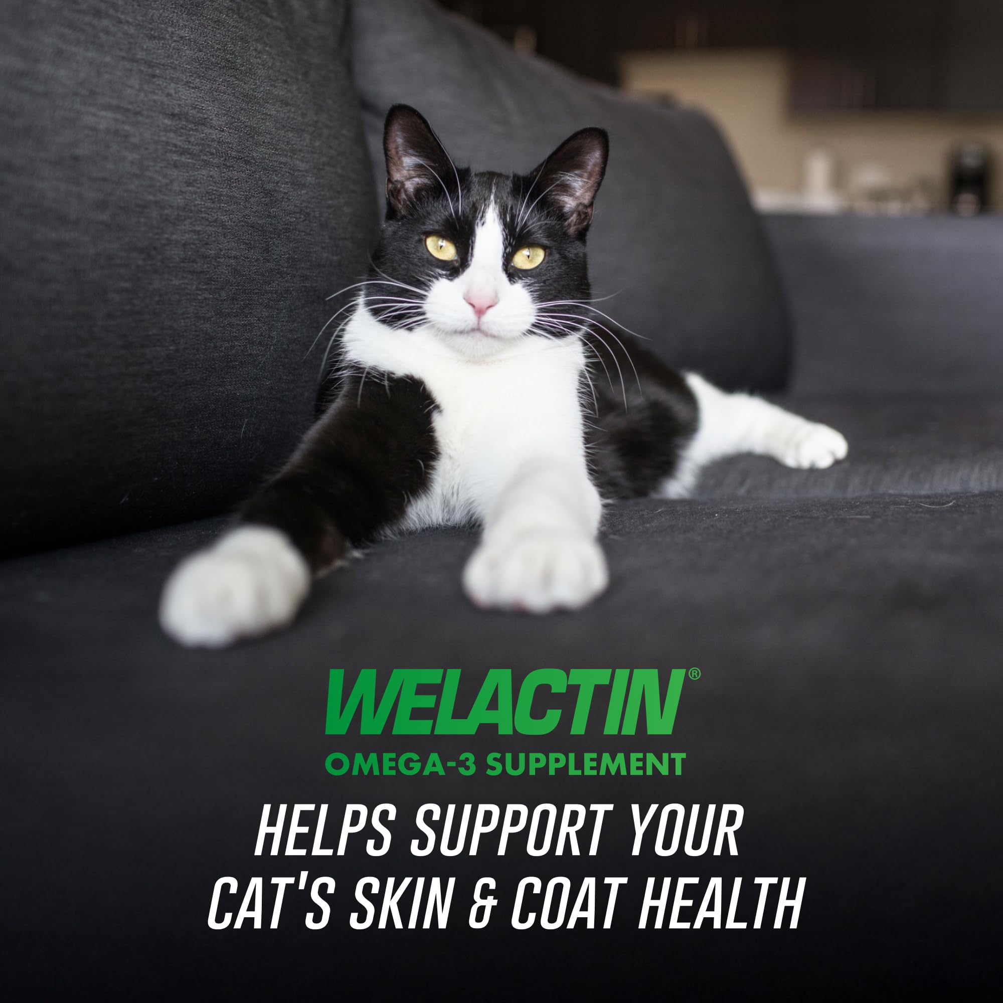 Nutramax Welactin EPA DHA omega-3 supplement for cats supports skin and coat