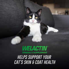 Nutramax Welactin EPA DHA omega-3 supplement for cats supports skin and coat