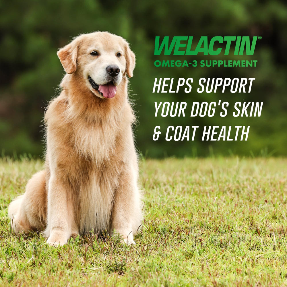 Nutramax Welactin scoop measures dose for easy daily omega-3 administration.