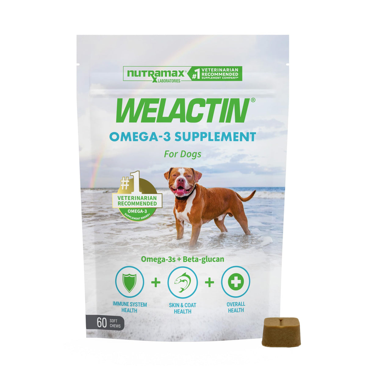 Nutramax Welactin soft-chews bottle for daily omega-3 support in dogs