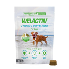 Nutramax Welactin soft-chews bottle for daily omega-3 support in dogs