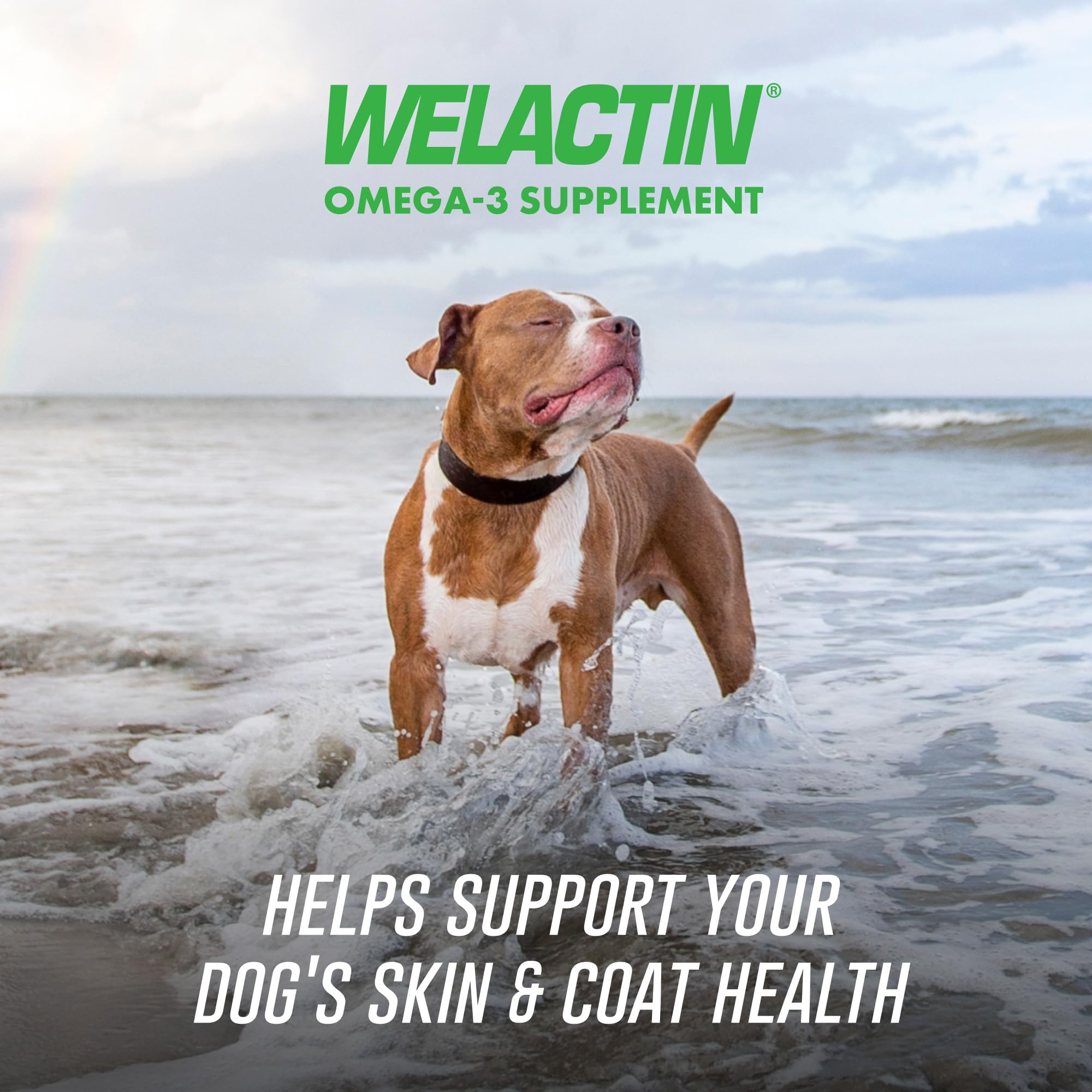 Nutramax Welactin dog paw image highlighting shiny coat and skin health benefits
