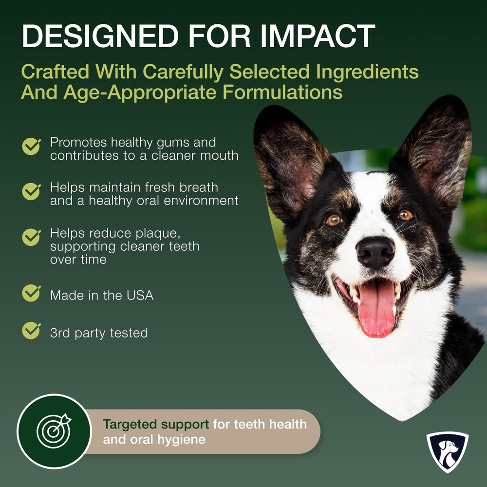 NutraRegen beef-flavored powder tub for palatable tartar defense and gum support