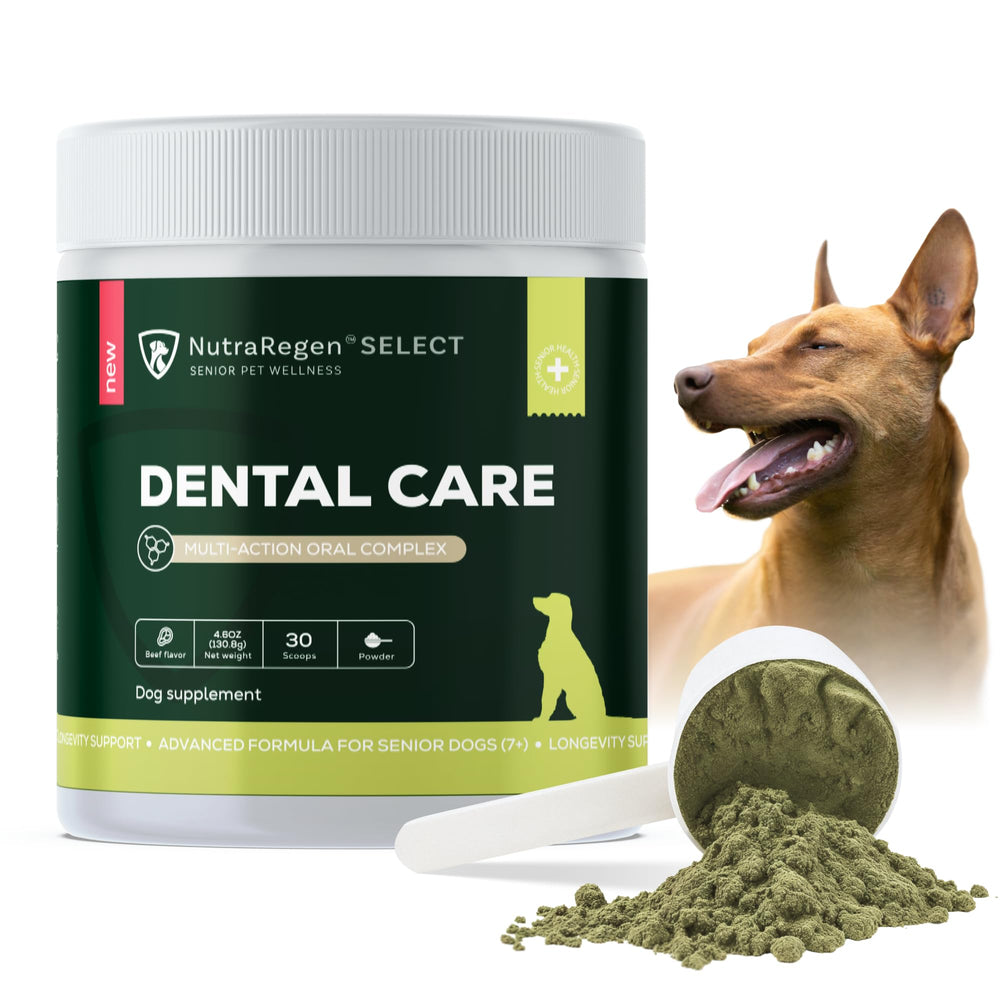 NutraRegen dog dental powder 30 scoops for easier daily oral care
