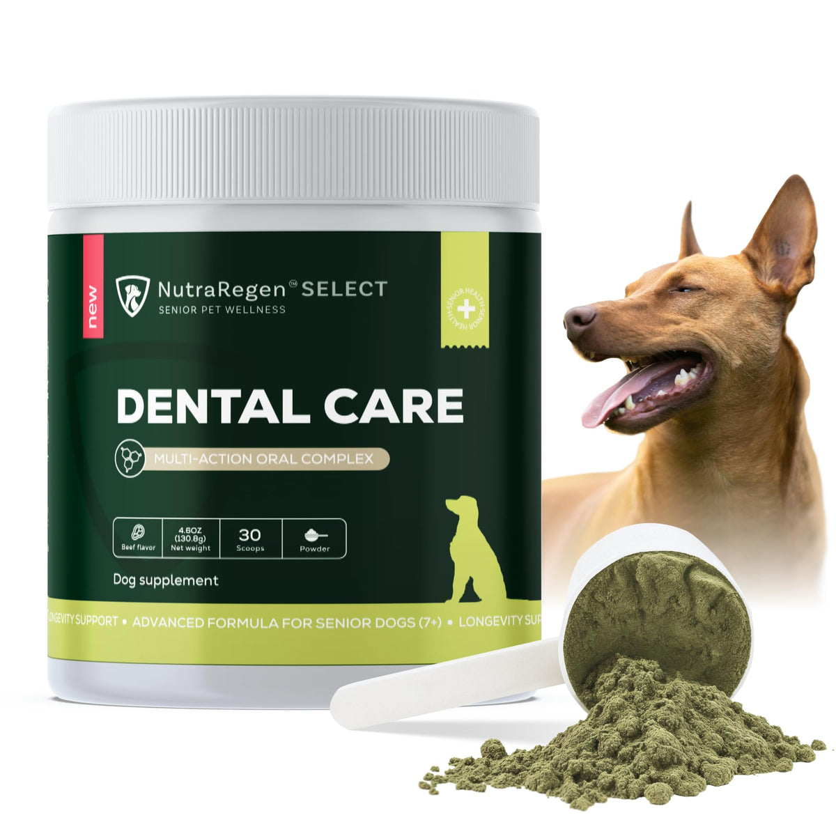 NutraRegen dog dental powder 30 scoops for easier daily oral care