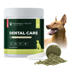 NutraRegen dog dental powder 30 scoops for easier daily oral care