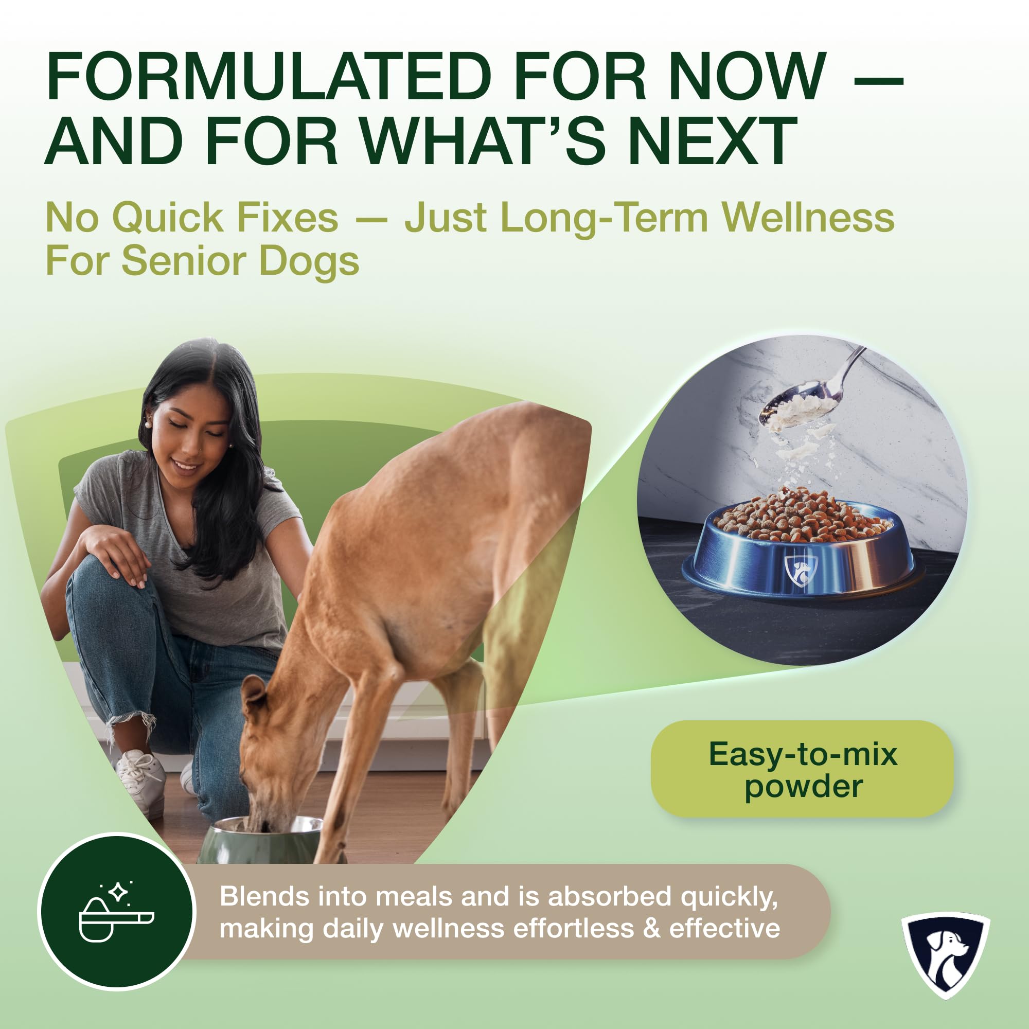 NutraRegen oral hygiene support powder poured over kibble for easy routine