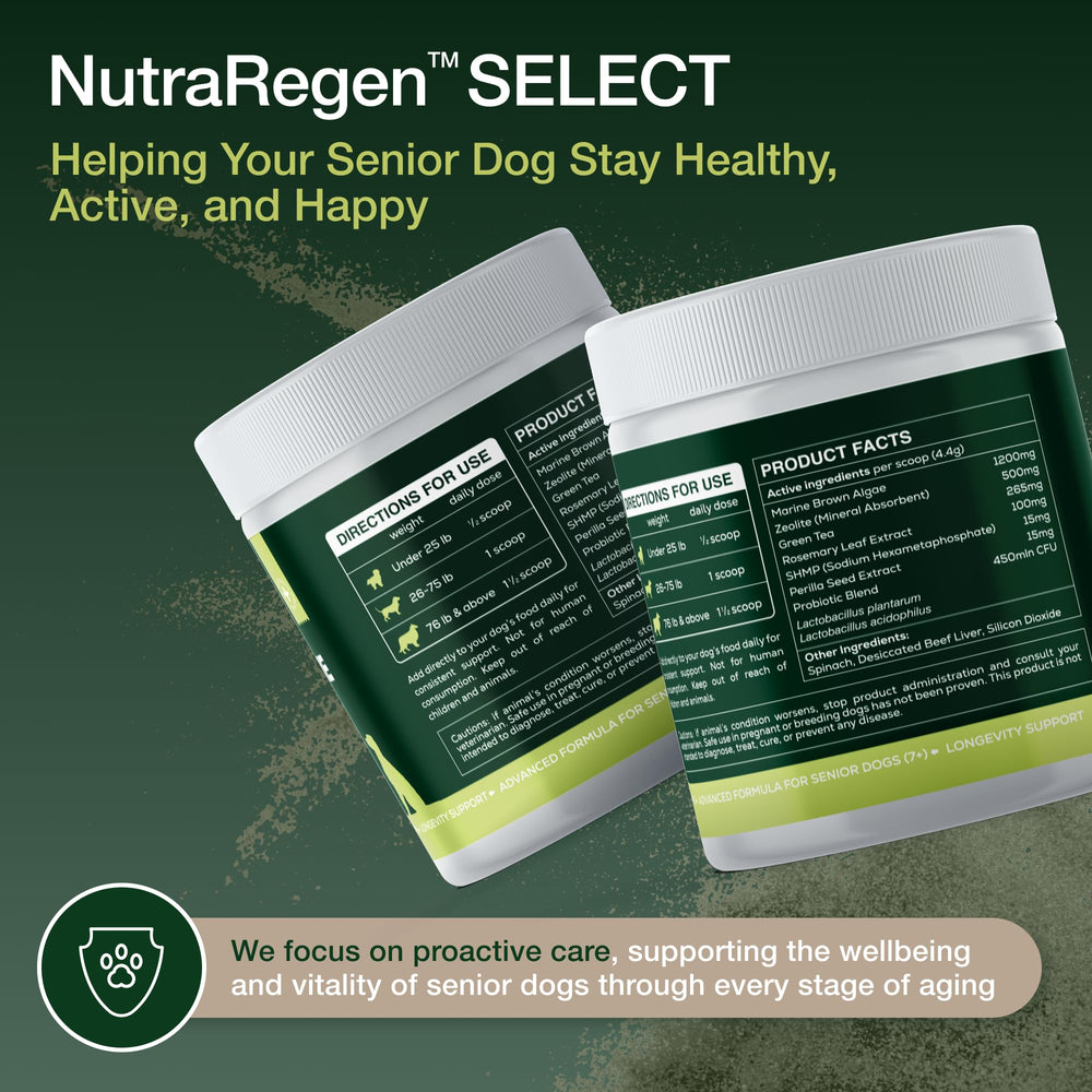 NutraRegen easy-mix powder being stirred into meals for daily care