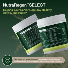 NutraRegen easy-mix powder being stirred into meals for daily care