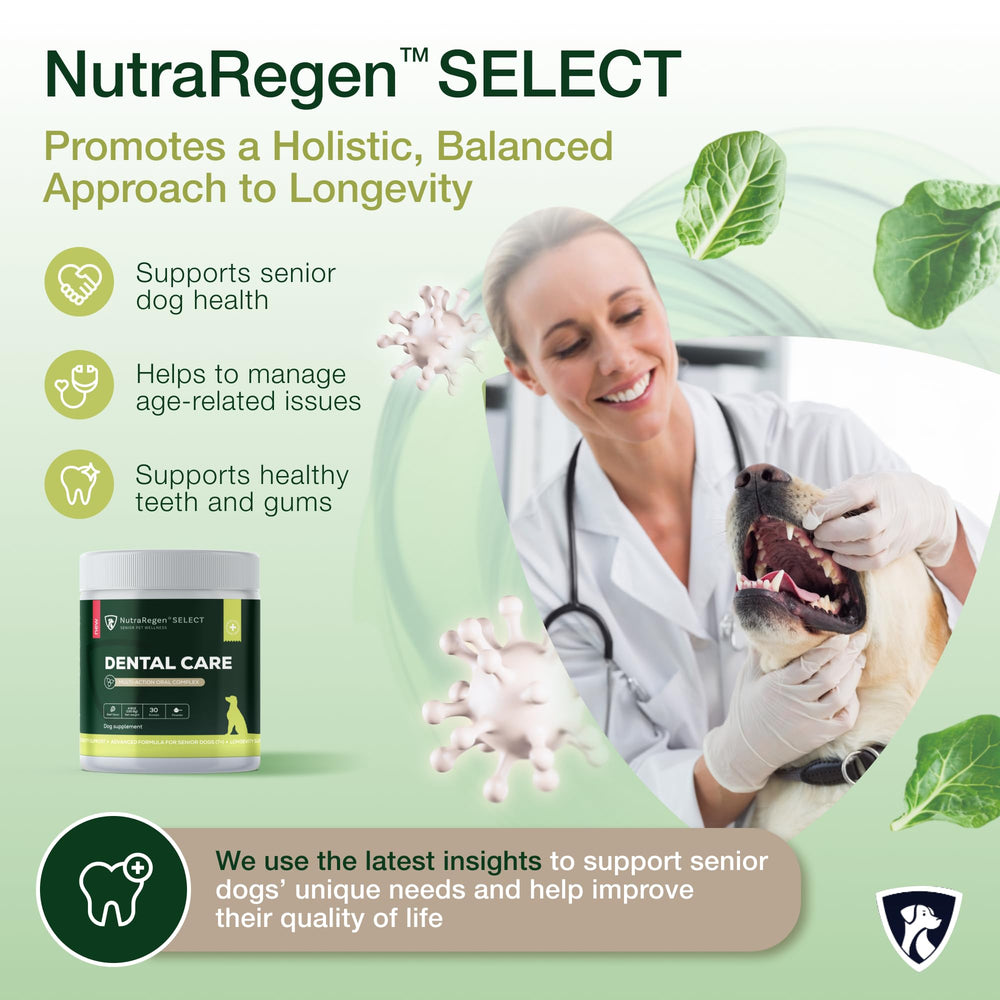 NutraRegen marine algae formula highlighting plaque defense over time