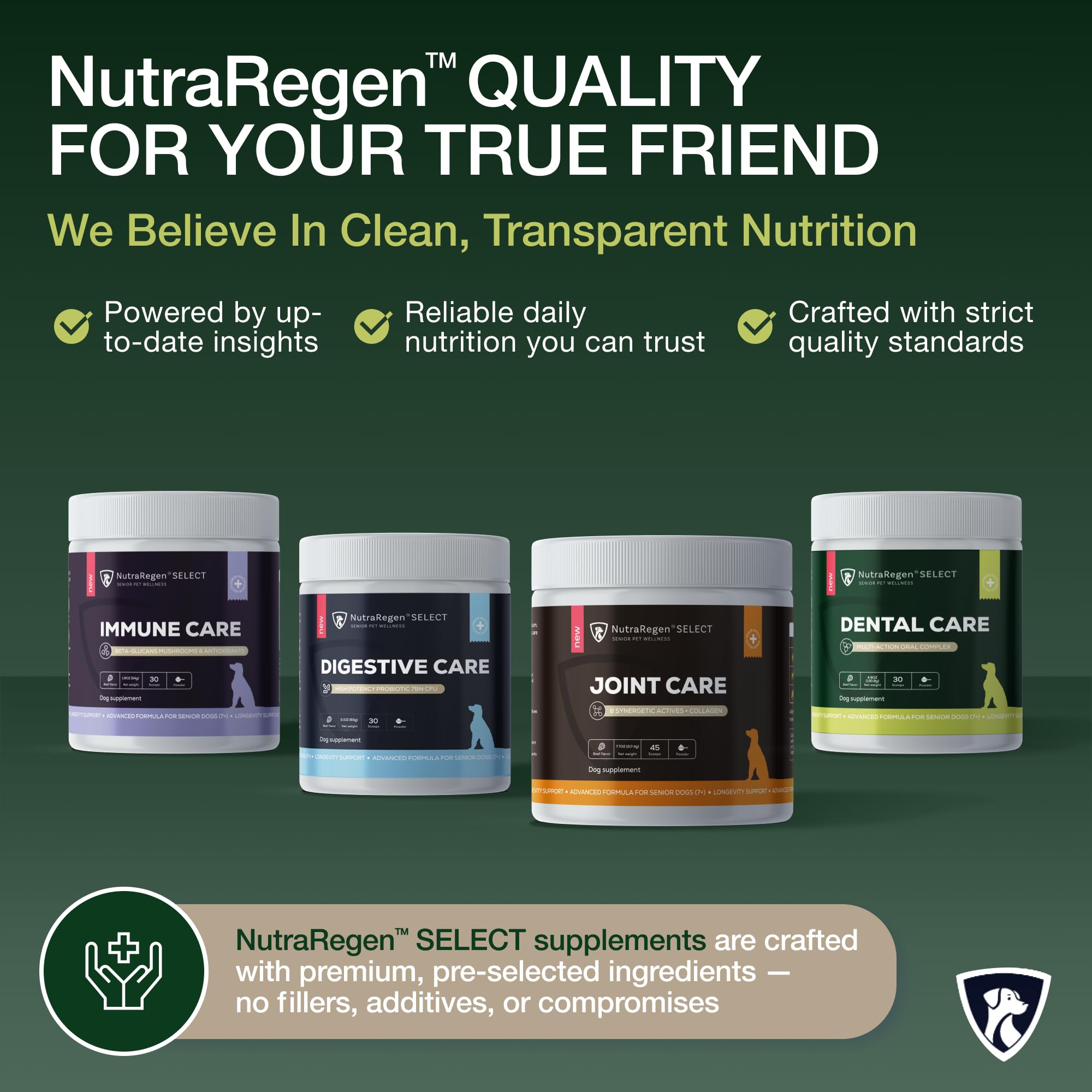 NutraRegen pet dental care tub beside a calm dog