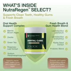 NutraRegen probiotic breath-freshener powder balances the oral environment