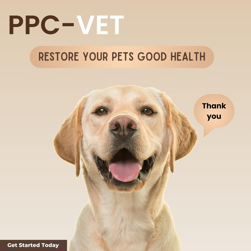 Nutrasal PPC-Vet 8 oz bottle ready for everyday use