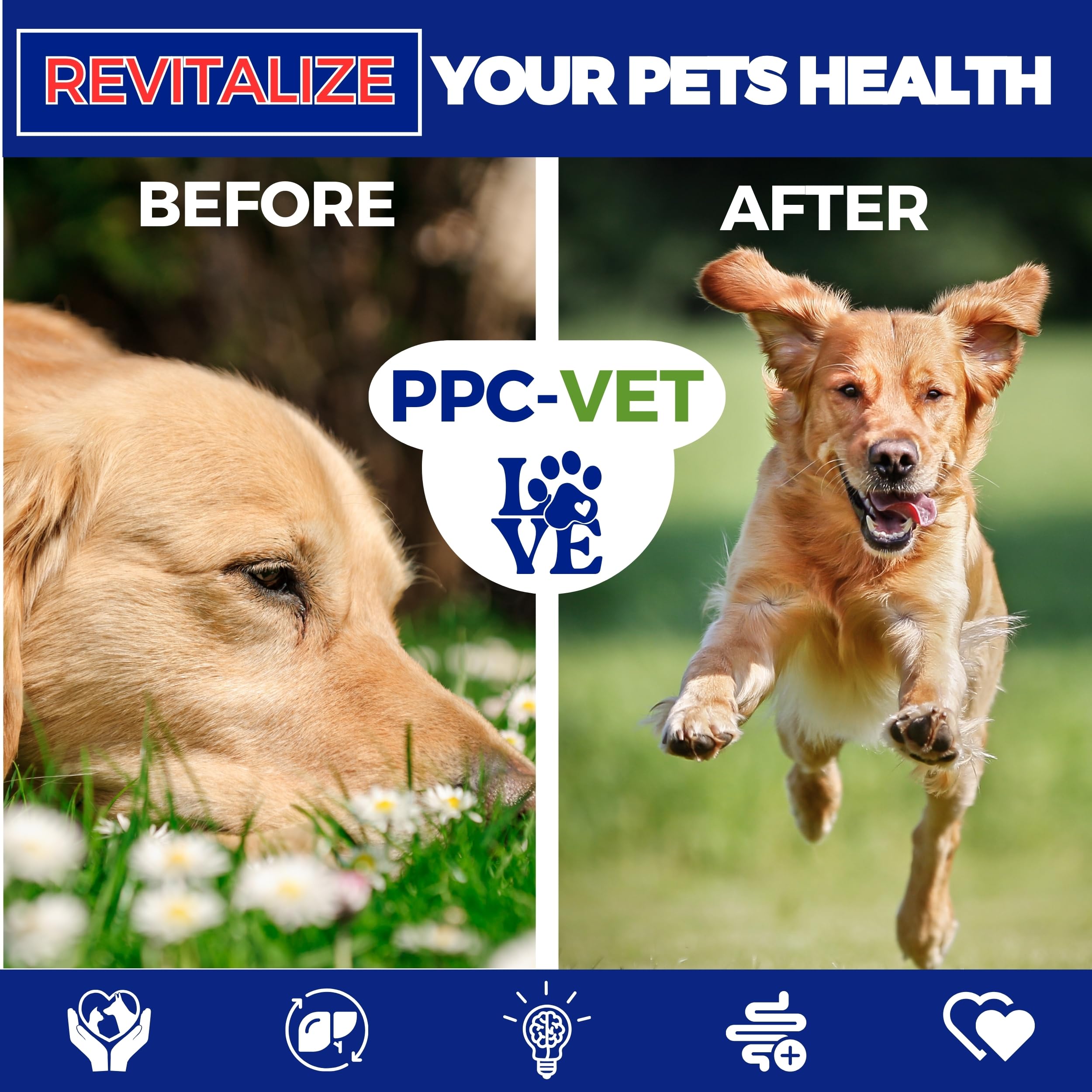 Nutrasal PPC-Vet close-up of phosphatidylcholine ingredient