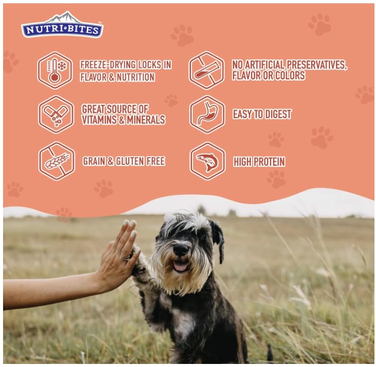 Nutri Bites dog cat-friendly salmon snack with no fillers supports balanced snacking