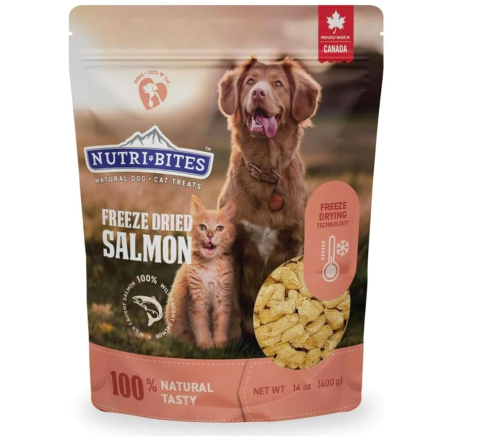 Nutri Bites freeze-dried salmon treats pack, high-protein snack for training