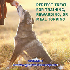 Nutri Bites grain-free treats gentle on sensitive stomachs.