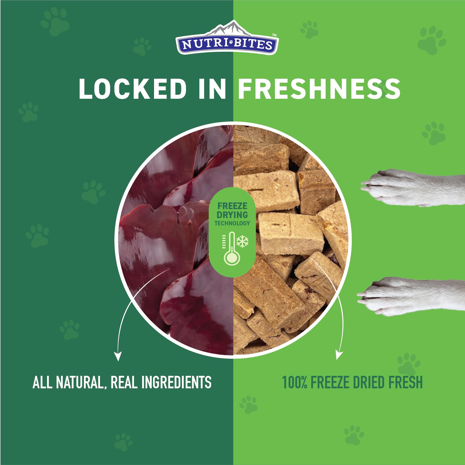 Nutri Bites high-protein treats support energy during play.