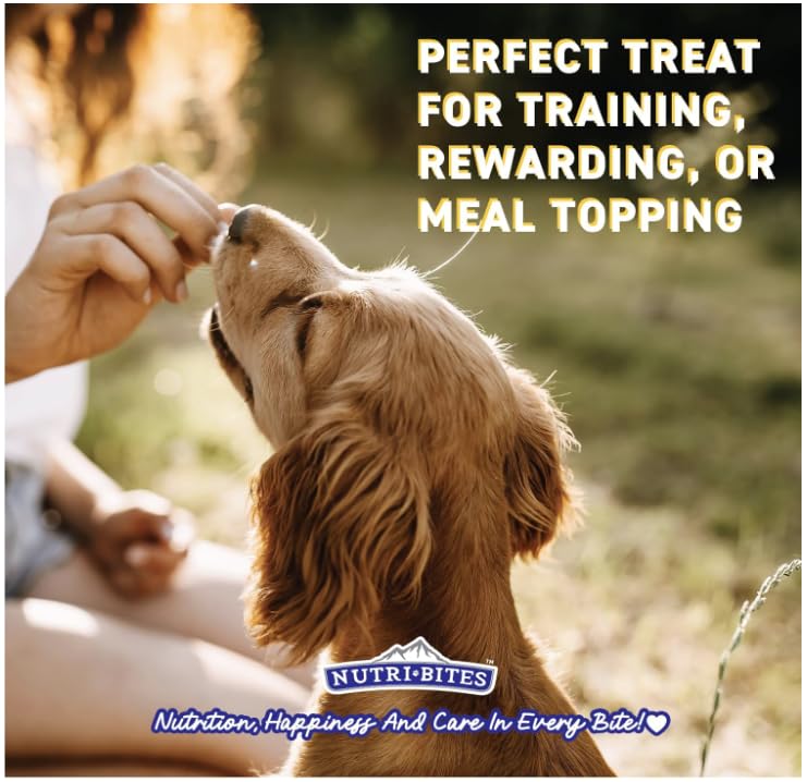 Nutri Bites salmon treats close-up highlights single-ingredient nutrition for dogs and cats