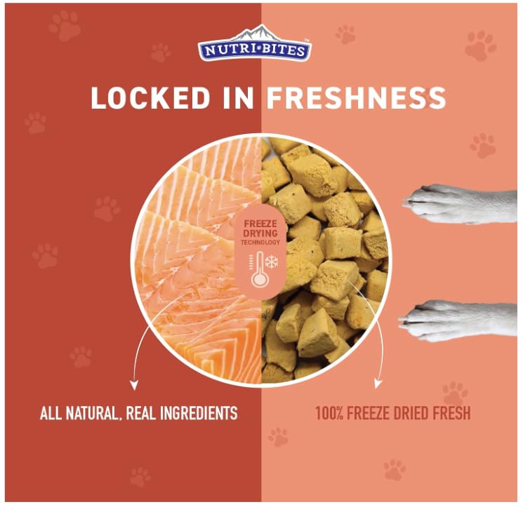 Nutri Bites training treat serving on plate motivates pets with tasty rewards
