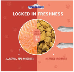 Nutri Bites training treat serving on plate motivates pets with tasty rewards