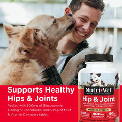 Nutri-Vet advanced-strength dog joint chews closeup showing easy administration for dogs.