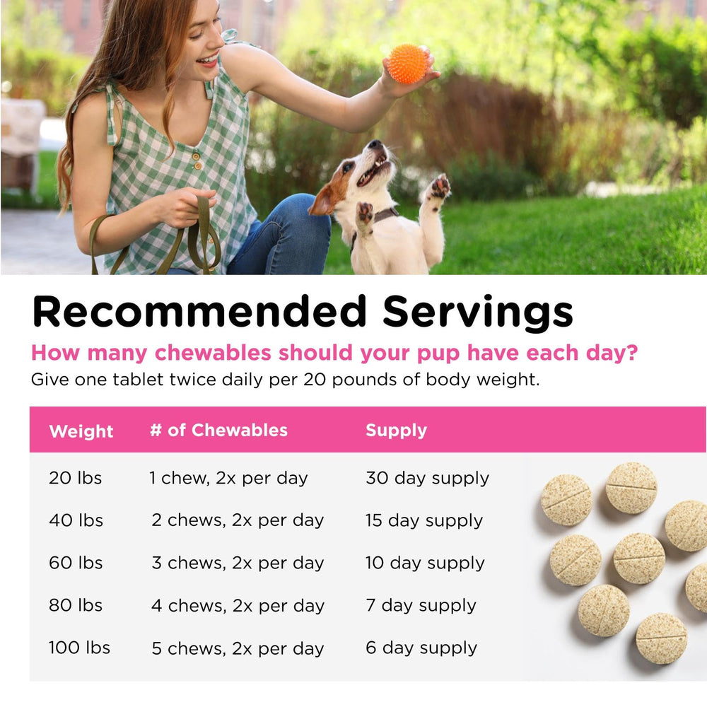 Nutri-Vet Allerg-Eze chewables dog eating for skin and coat support