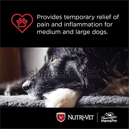 Nutri-Vet Chewables for dogs showing easy dosing and care in use