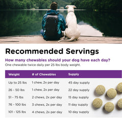 Nutri-Vet Bladder Control dog urinary health support for daily routines.