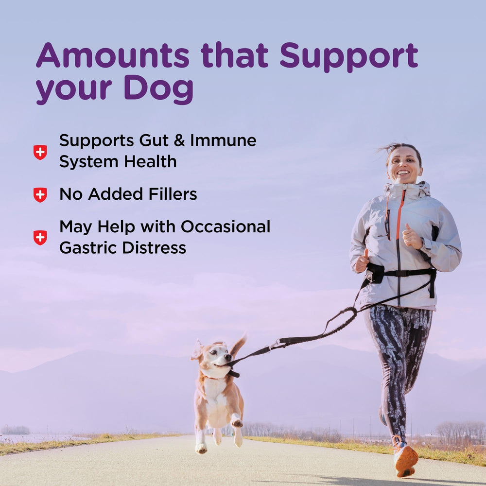 Nutri-Vet Bladder Control senior dog use promotes comfortable daytime moments.