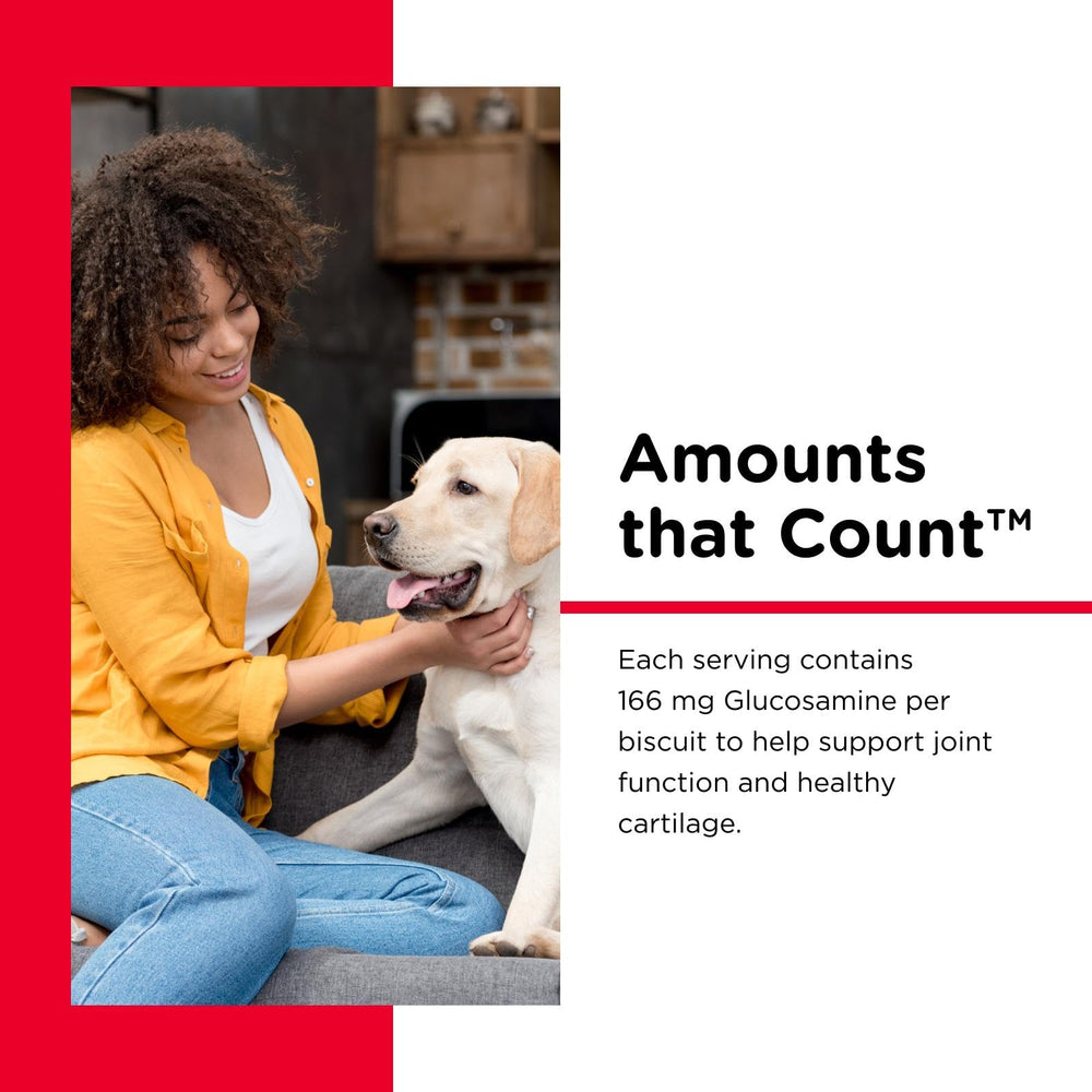 Nutri-Vet Hip & Joint Biscuits dog eating scene shows tasty daily rewards for mobility.