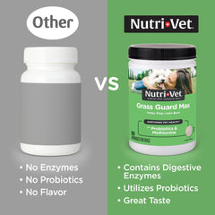 Nutri-Vet Grass Guard chicken-flavor chews ready for daily use.