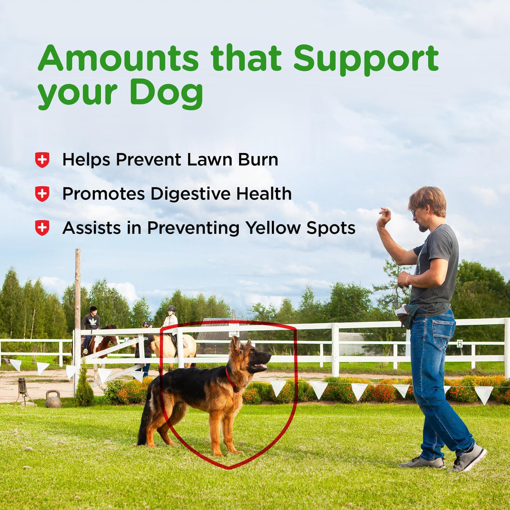 Dog enjoying Nutri-Vet Grass Guard chewables as daily treat.