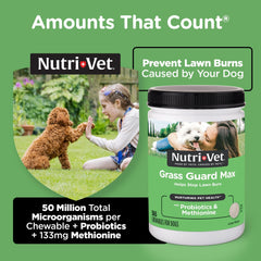 Close-up of Nutri-Vet Grass Guard tablets for easy dosing.