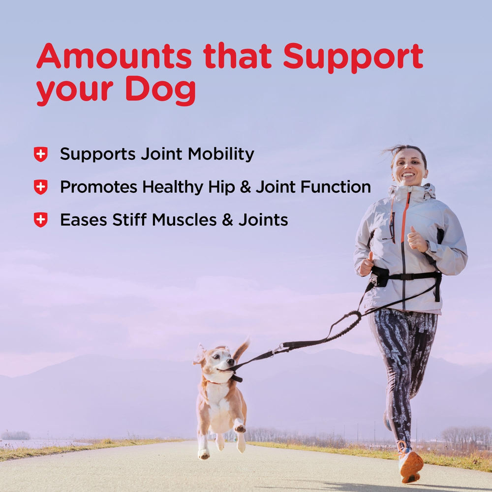 Nutri-Vet hip joint biscuit glucosamine info; high per-biscuit content.