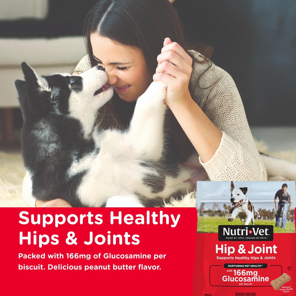 Nutri-Vet Hip & Joint Biscuits close-up highlights crunchy texture and glucosamine benefits.