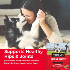 Nutri-Vet Hip & Joint Biscuits close-up highlights crunchy texture and glucosamine benefits.