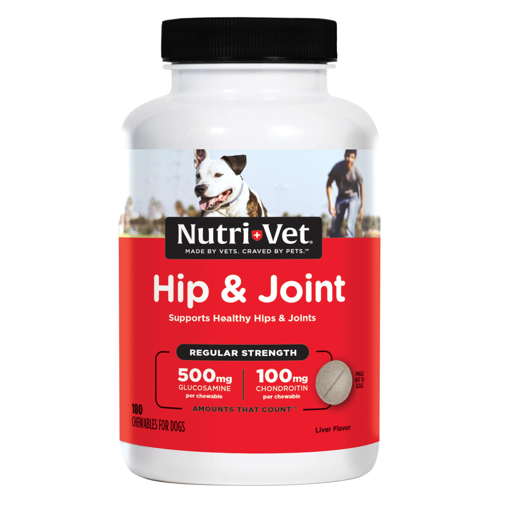 Nutri-Vet Hip and Joint chews bottle supports dog mobility.