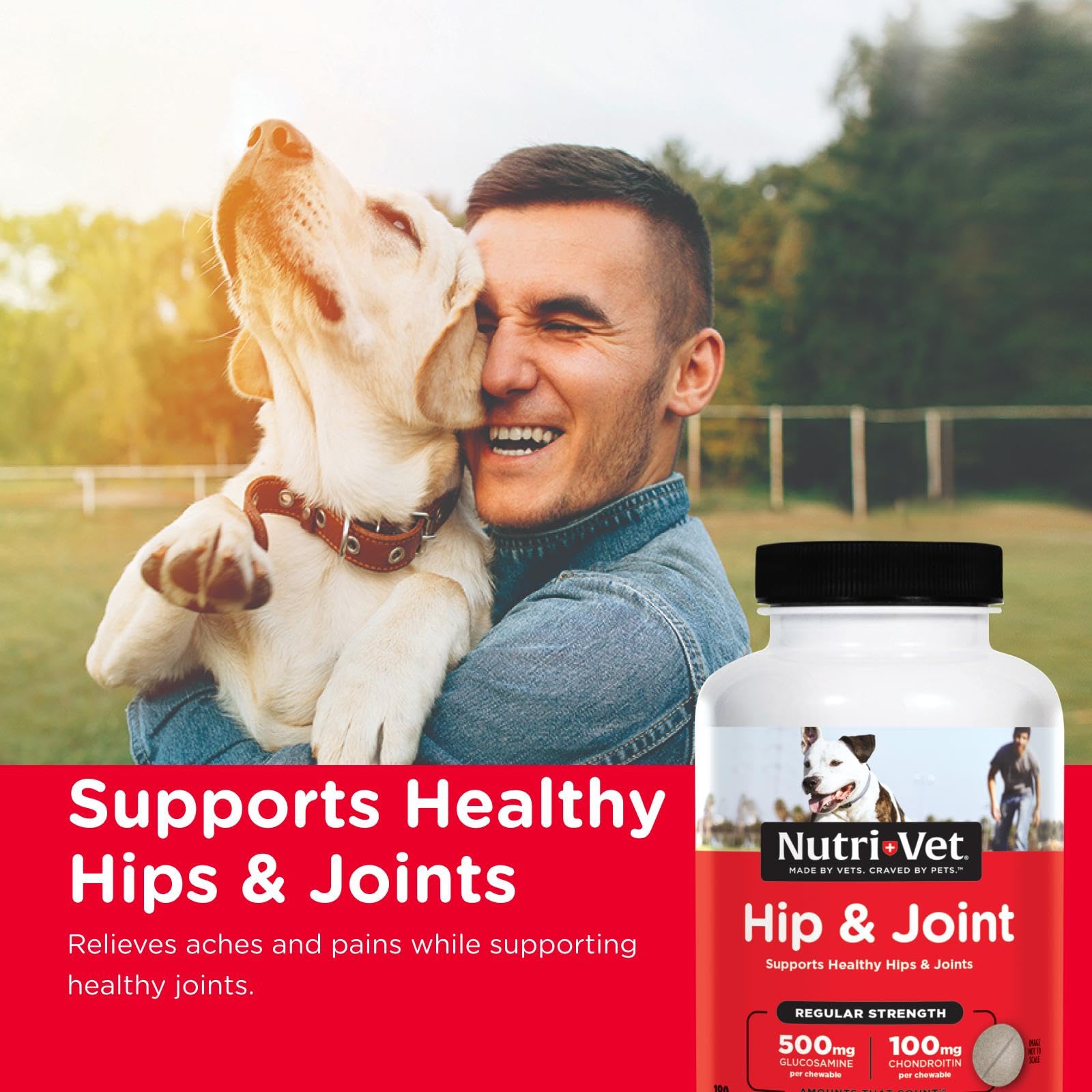 Close-up of Nutri-Vet Hip and Joint chews for dogs.