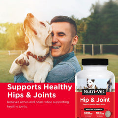 Close-up of Nutri-Vet Hip and Joint chews for dogs.