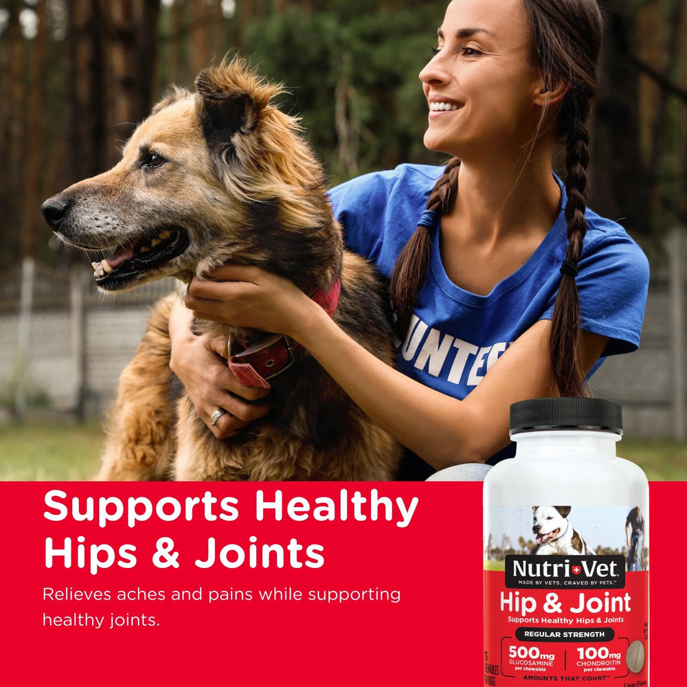 Nutri-Vet hip joint chews in liver flavor dogs love and may support mobility