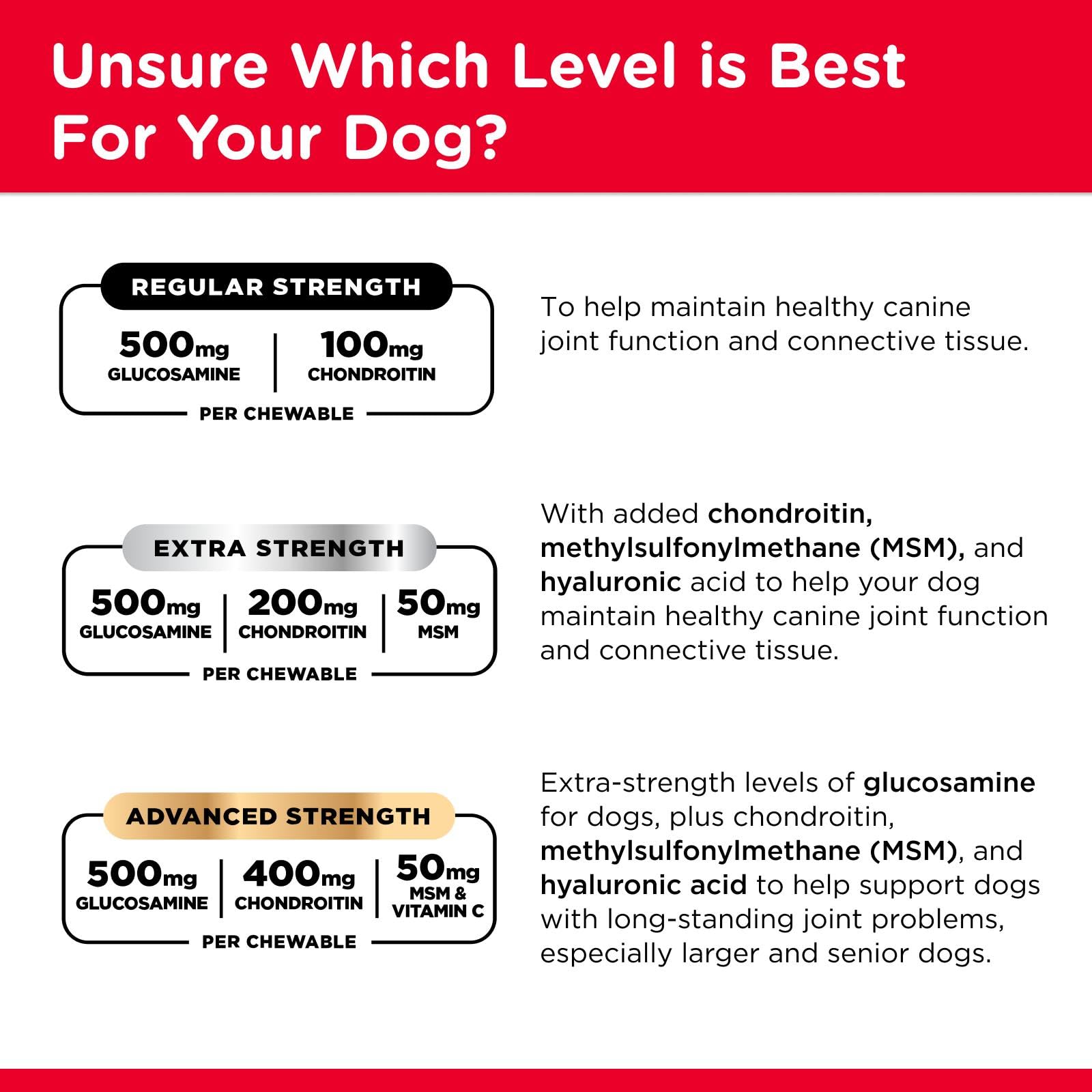Active dog enjoys Nutri-Vet Hip and Joint chews during play.