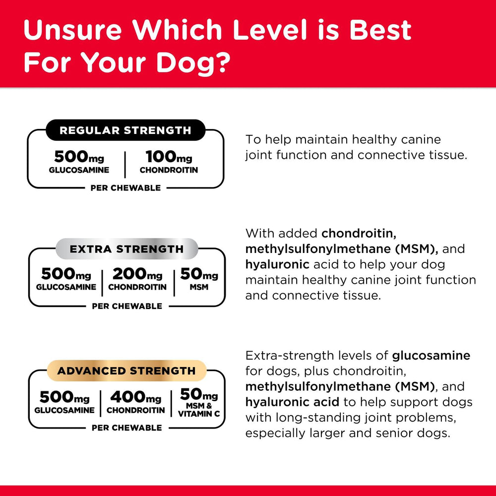 Active dog enjoys Nutri-Vet Hip and Joint chews during play.